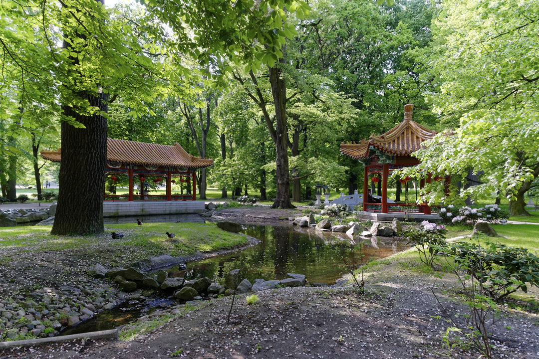 20160509-153012••SrodmieScie•Masovian Voivodeship•Poland